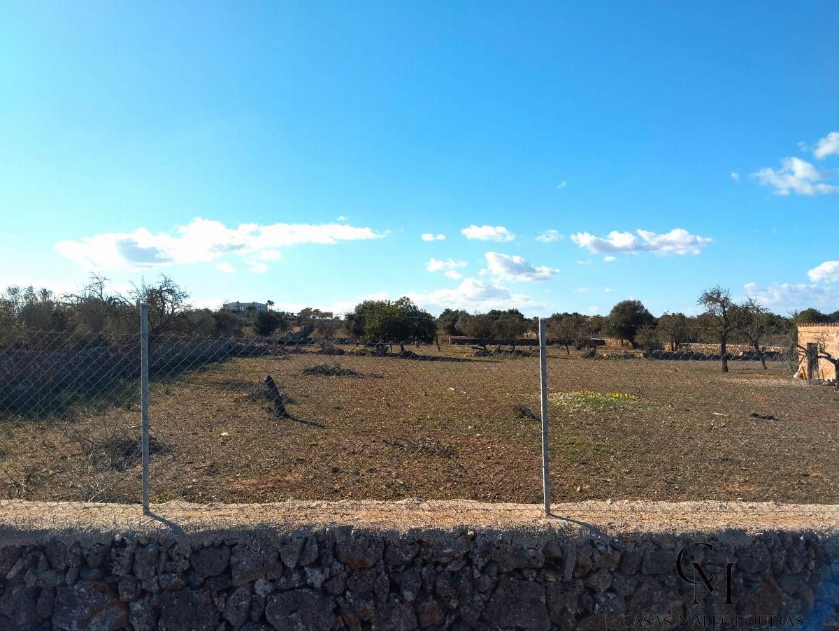 Ground