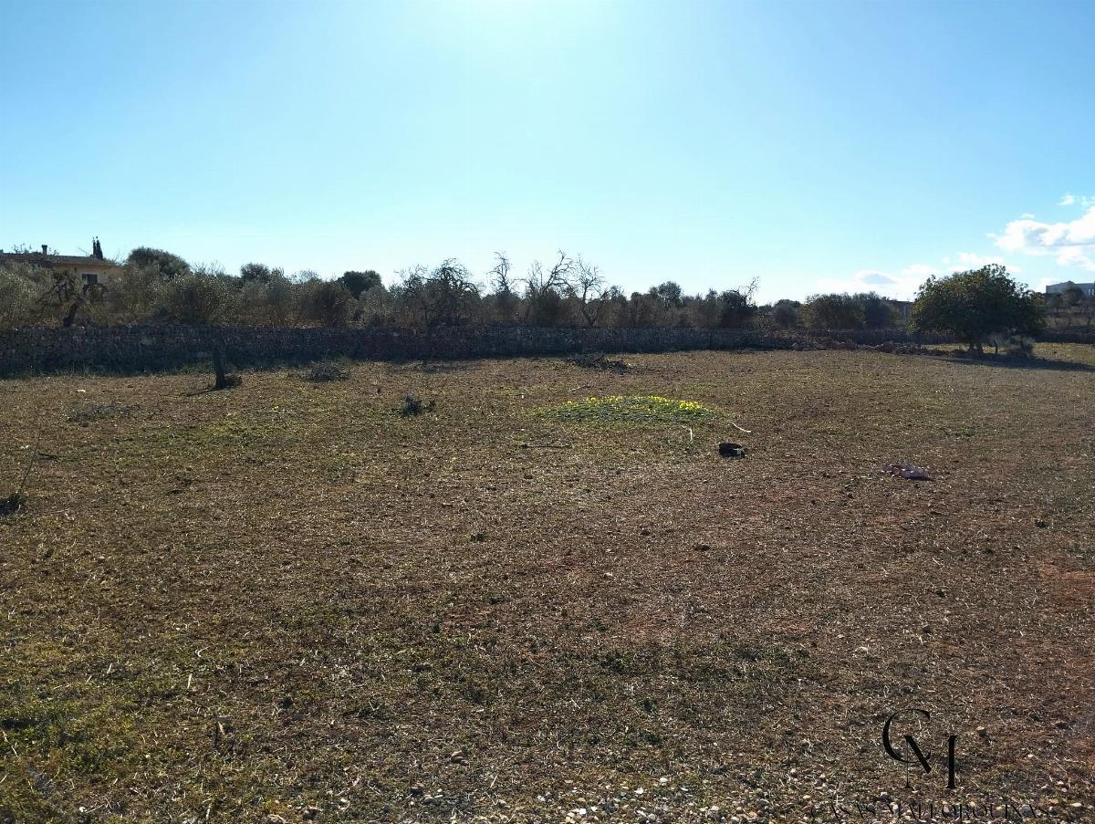 Ground
