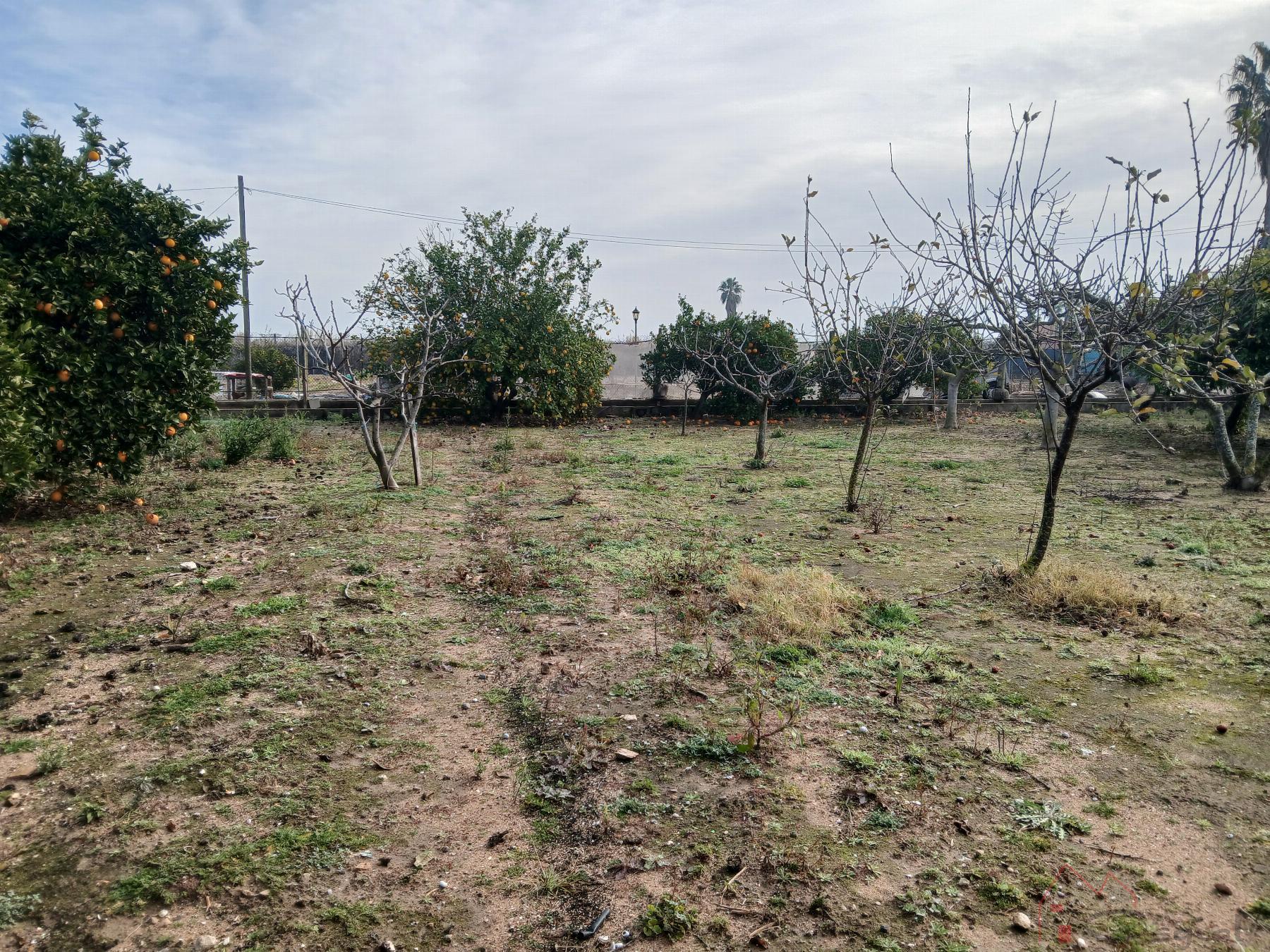 For sale of chalet in Cullera
