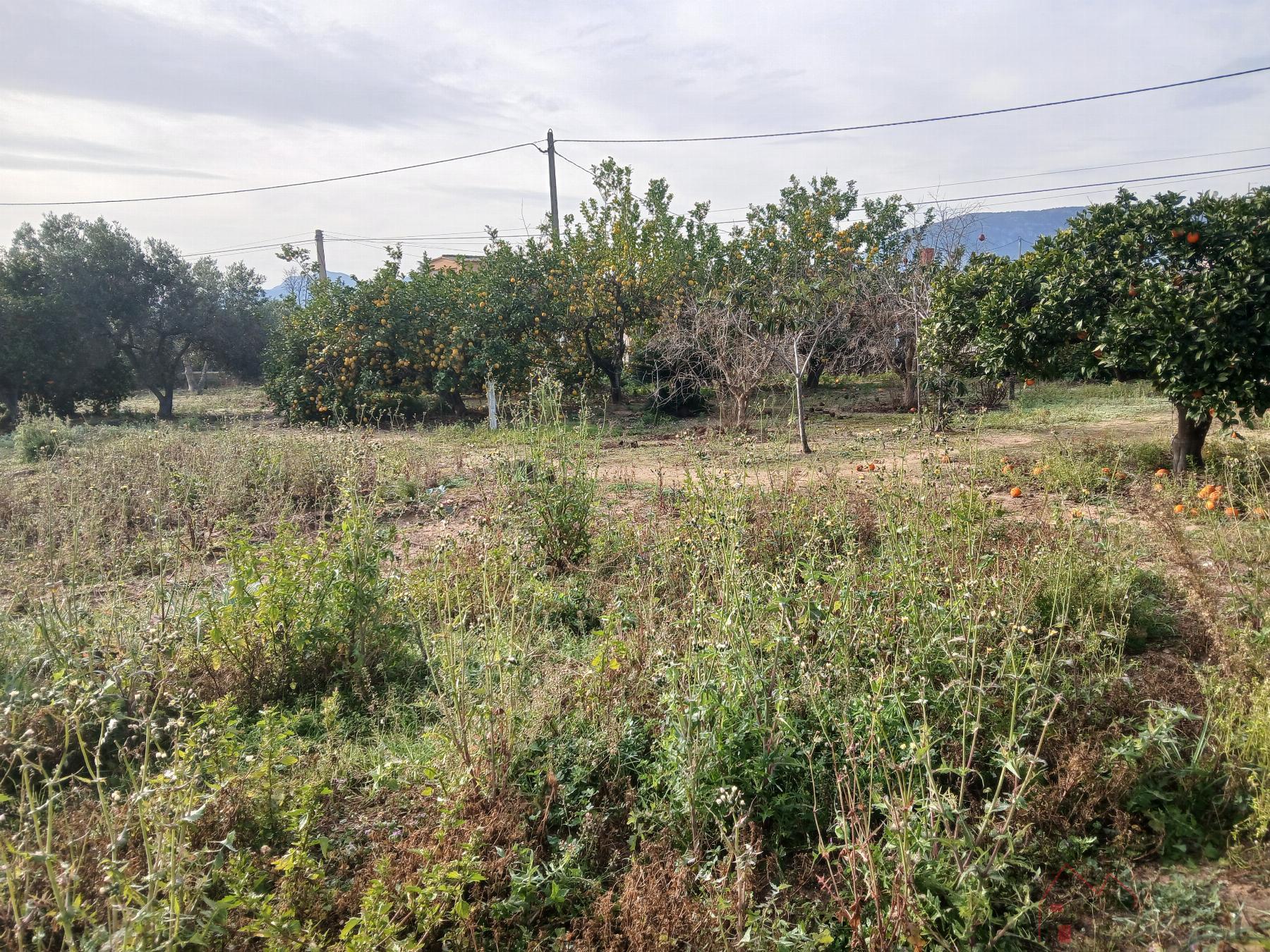 For sale of chalet in Cullera