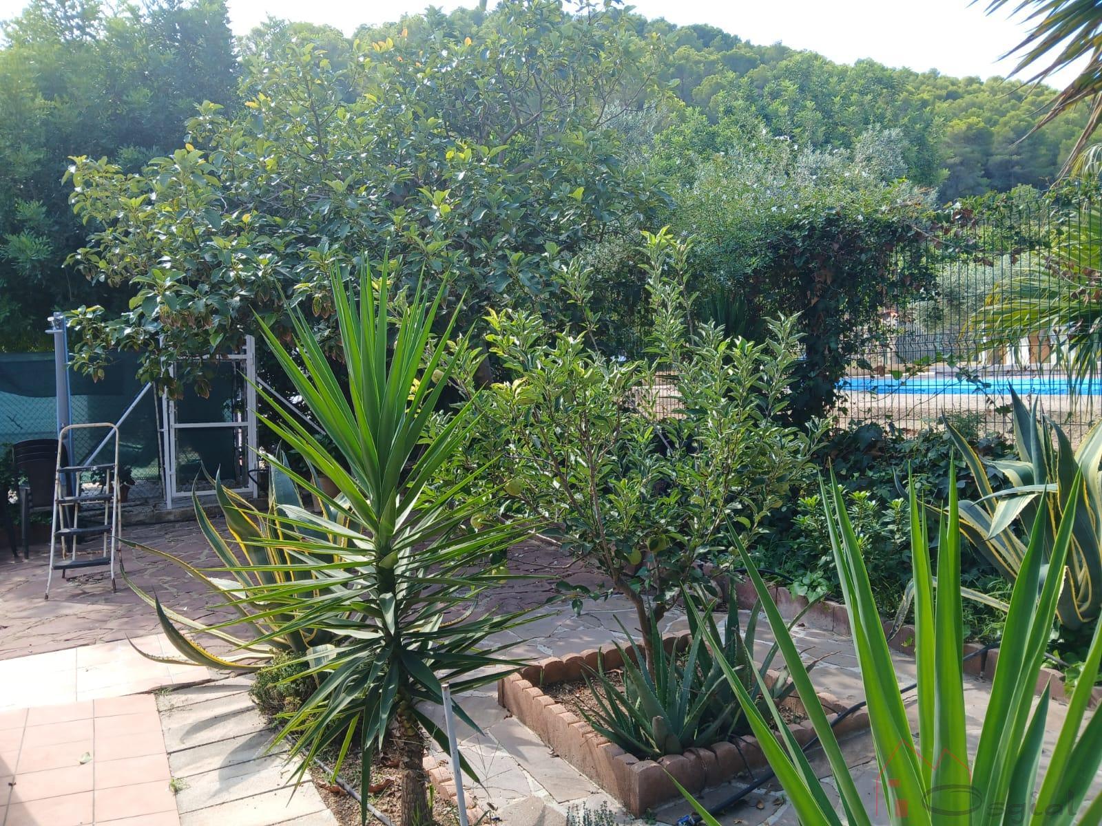 Venta de chalet en Favara