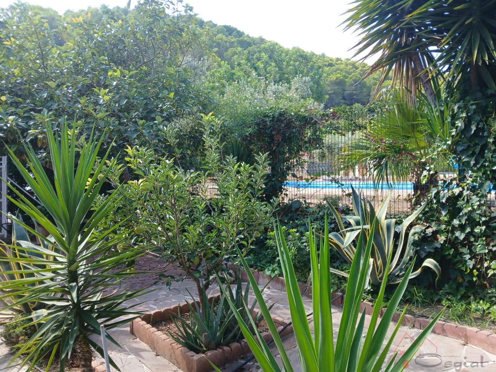 Venta de chalet en Favara