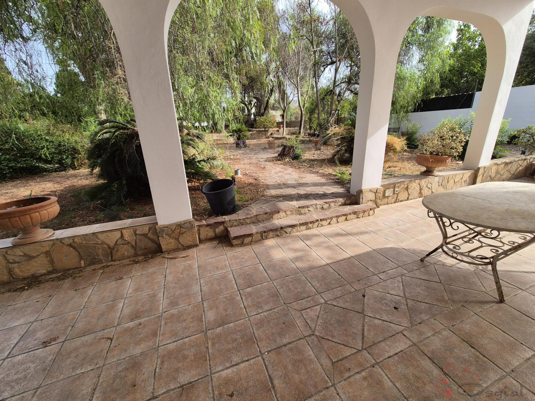 Patio Patio