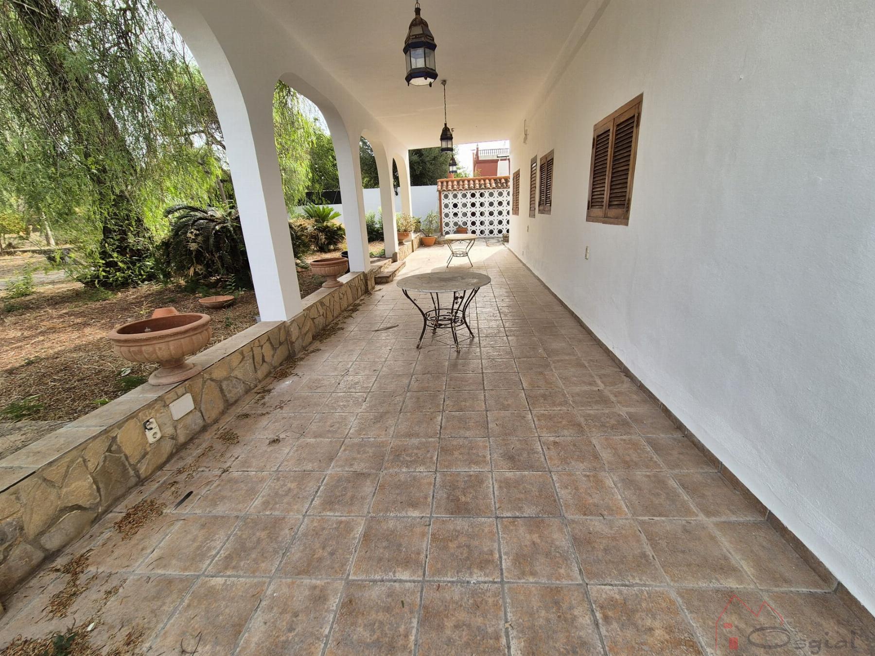 Patio Patio