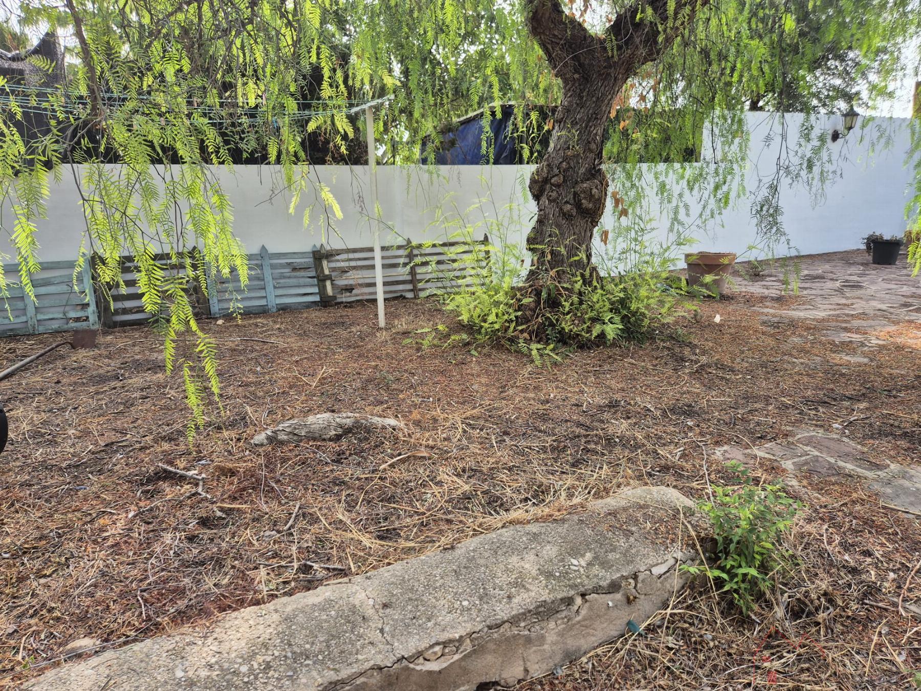 Jardín Jardín