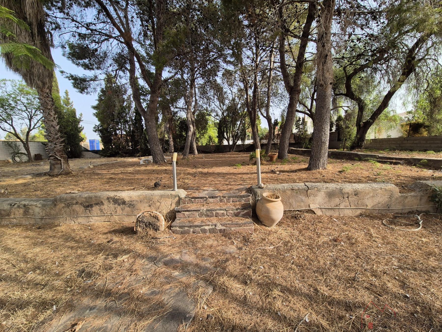 Jardín