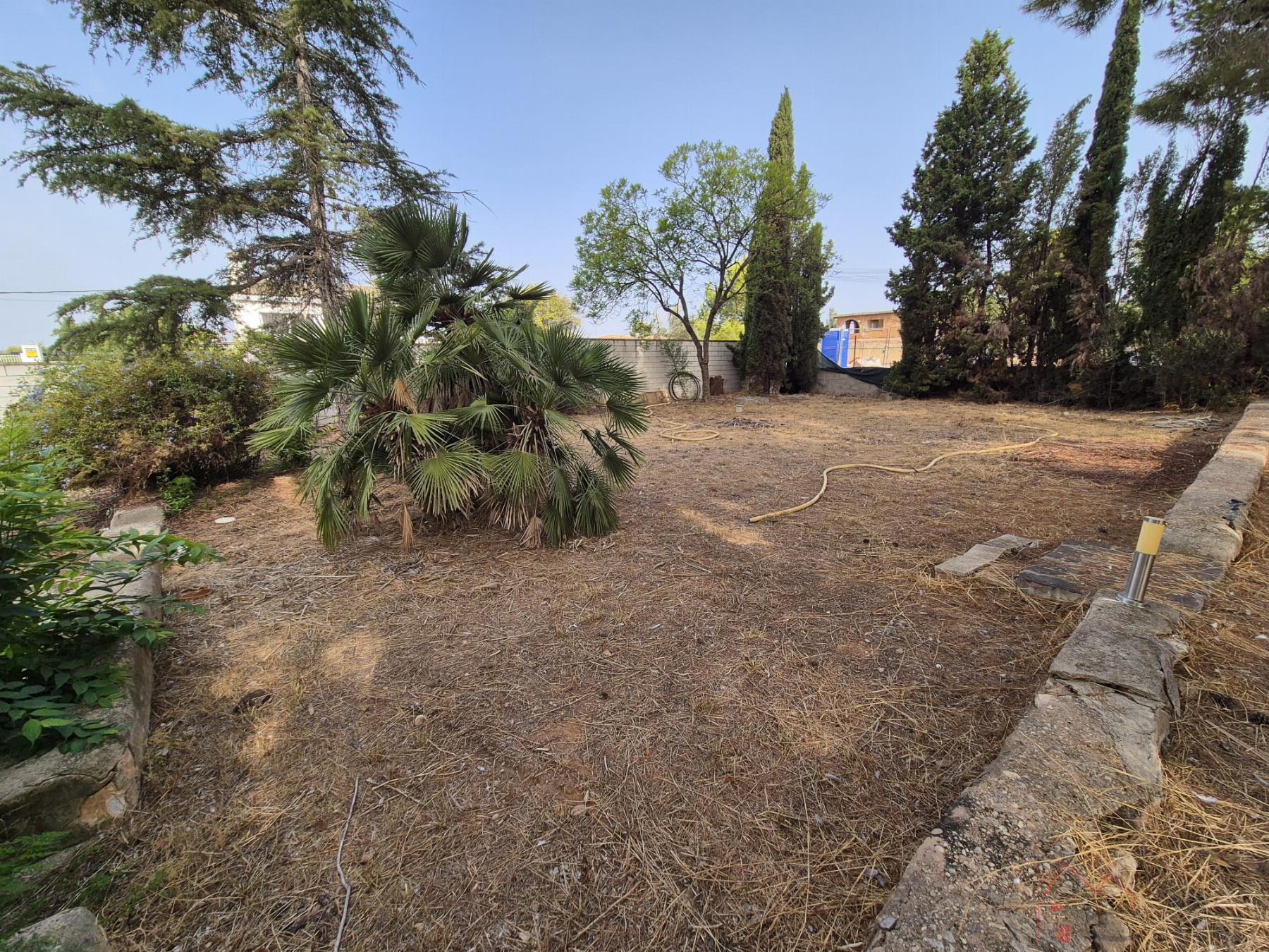 Jardín Jardín