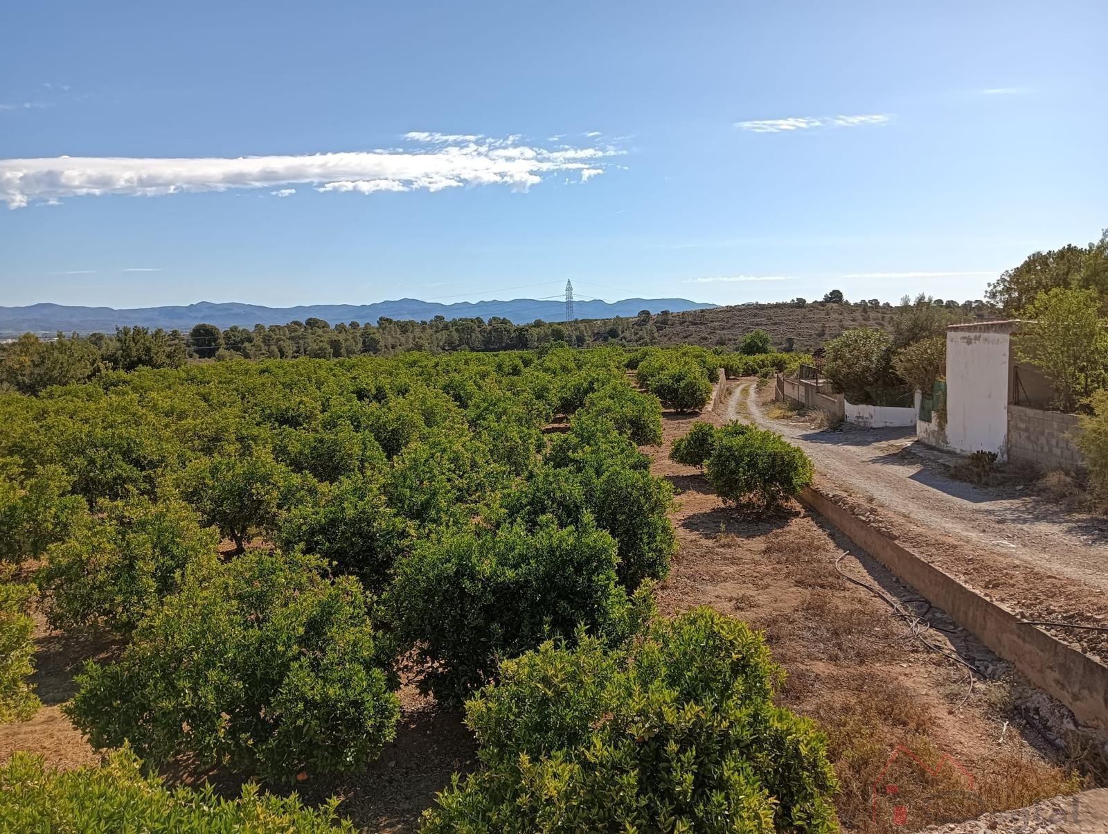 Venta de terreno en Llíria