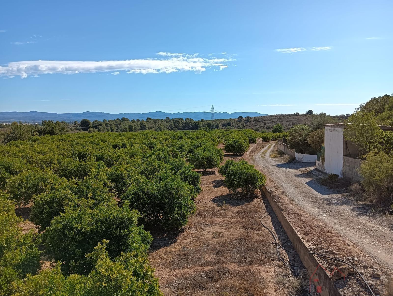Venta de terreno en Llíria