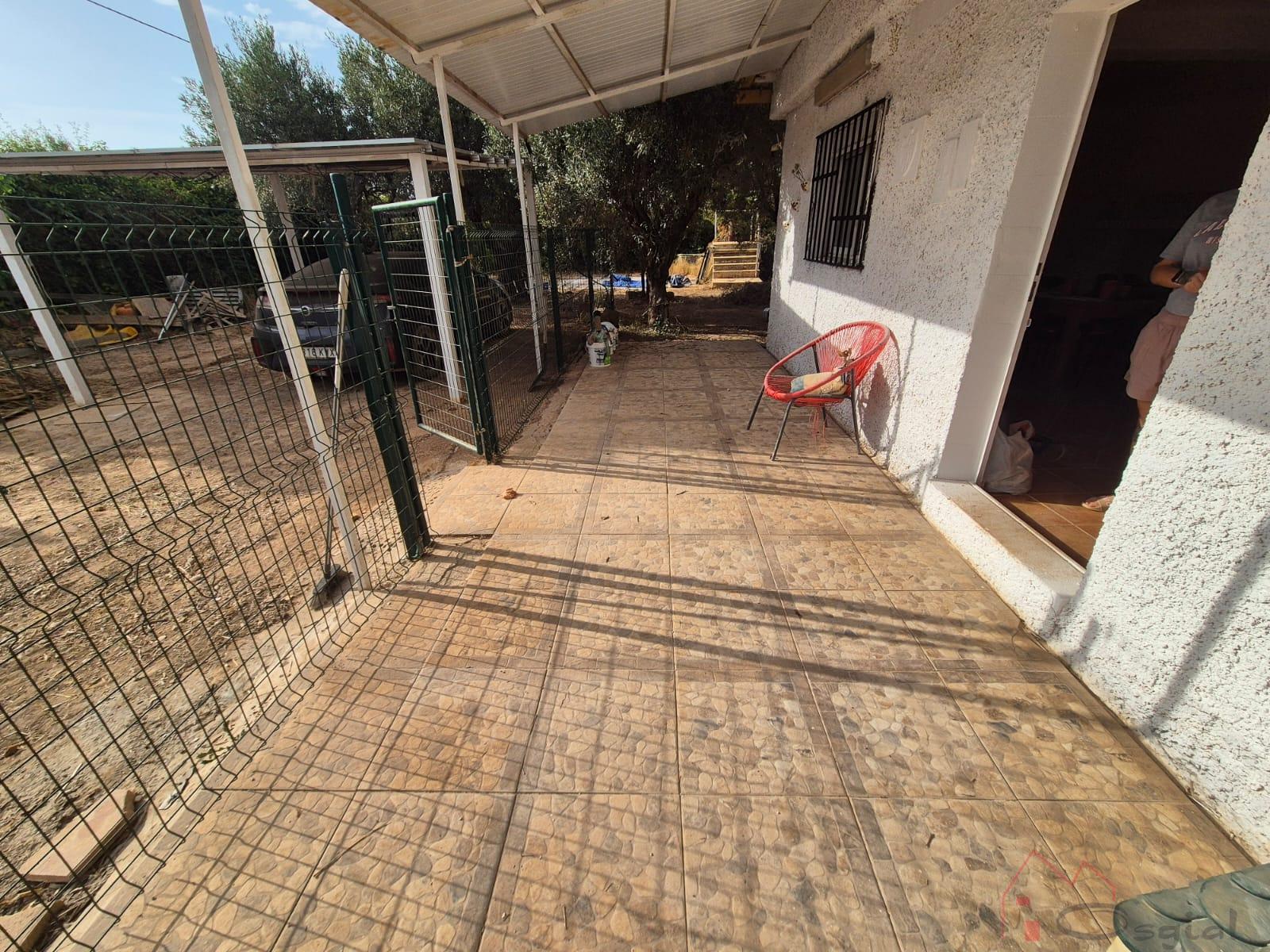 Terreno