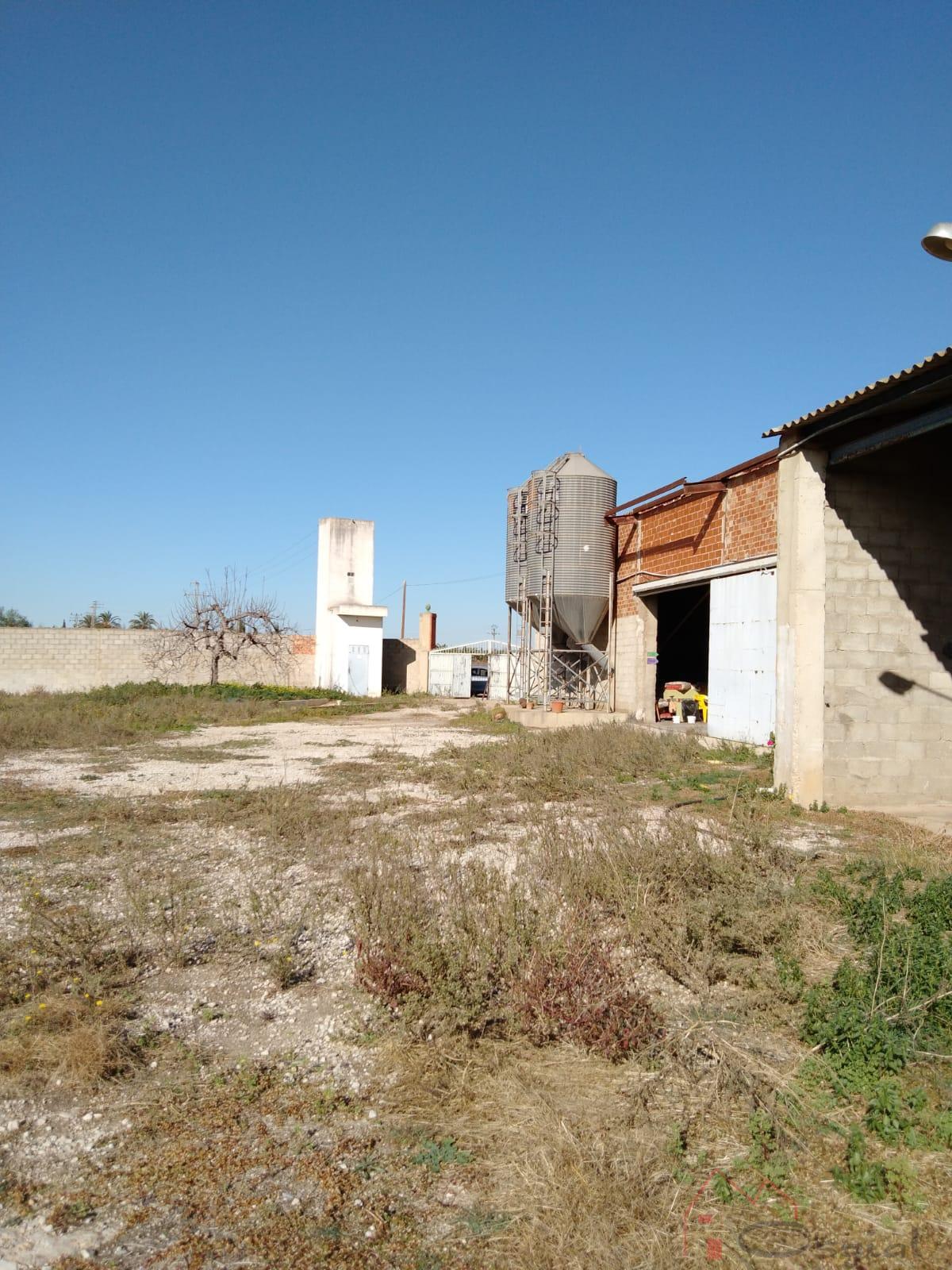 Alrededores