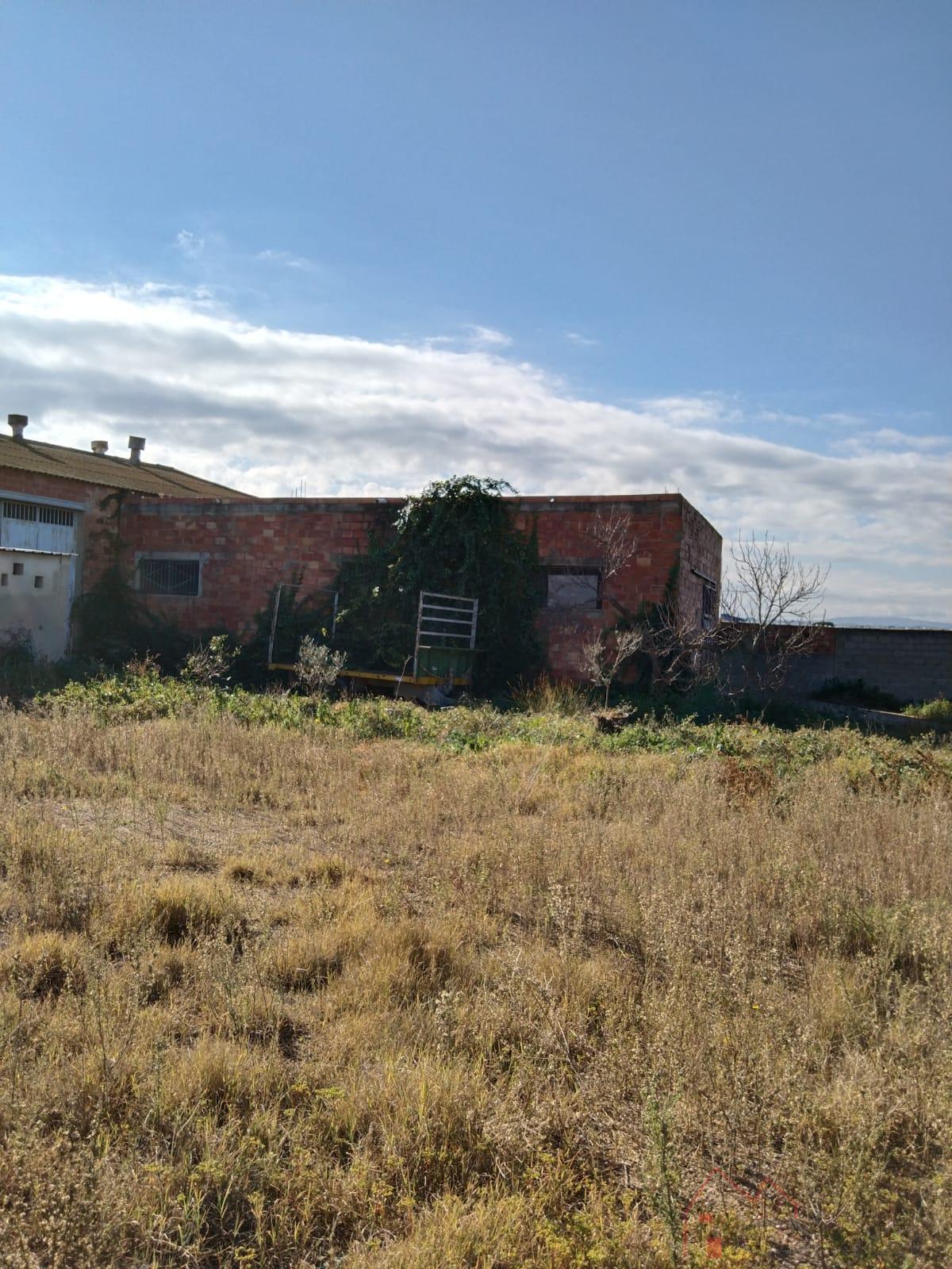 Alrededores