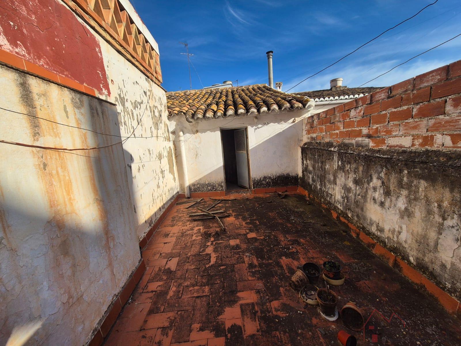 Terraza