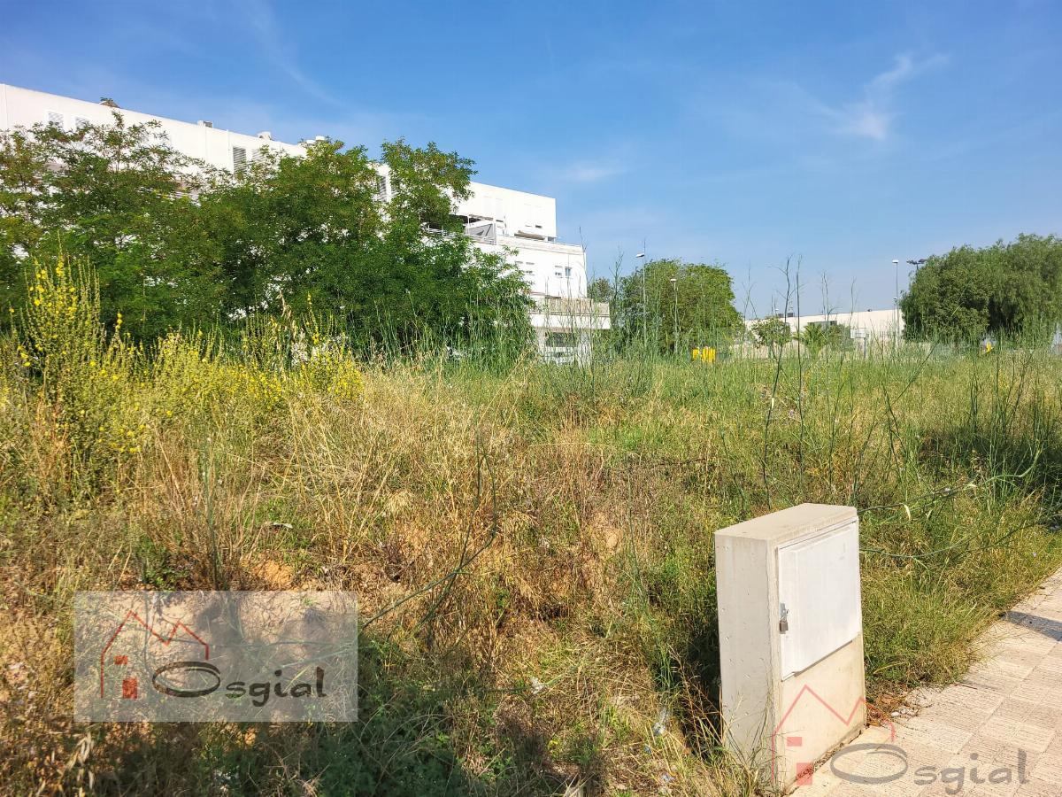 Vente de terrain dans Alcàsser