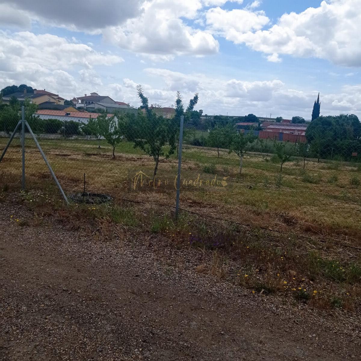 Ground