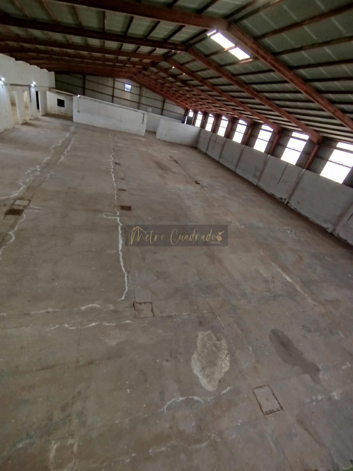 Alquiler de nave industrial en Mérida