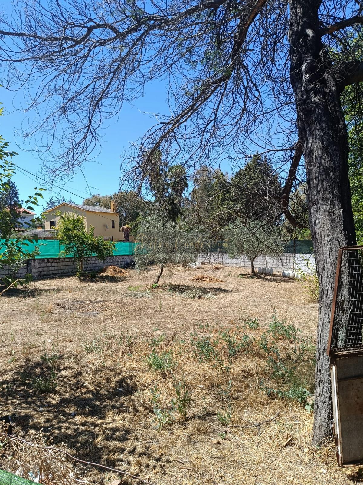 Ground