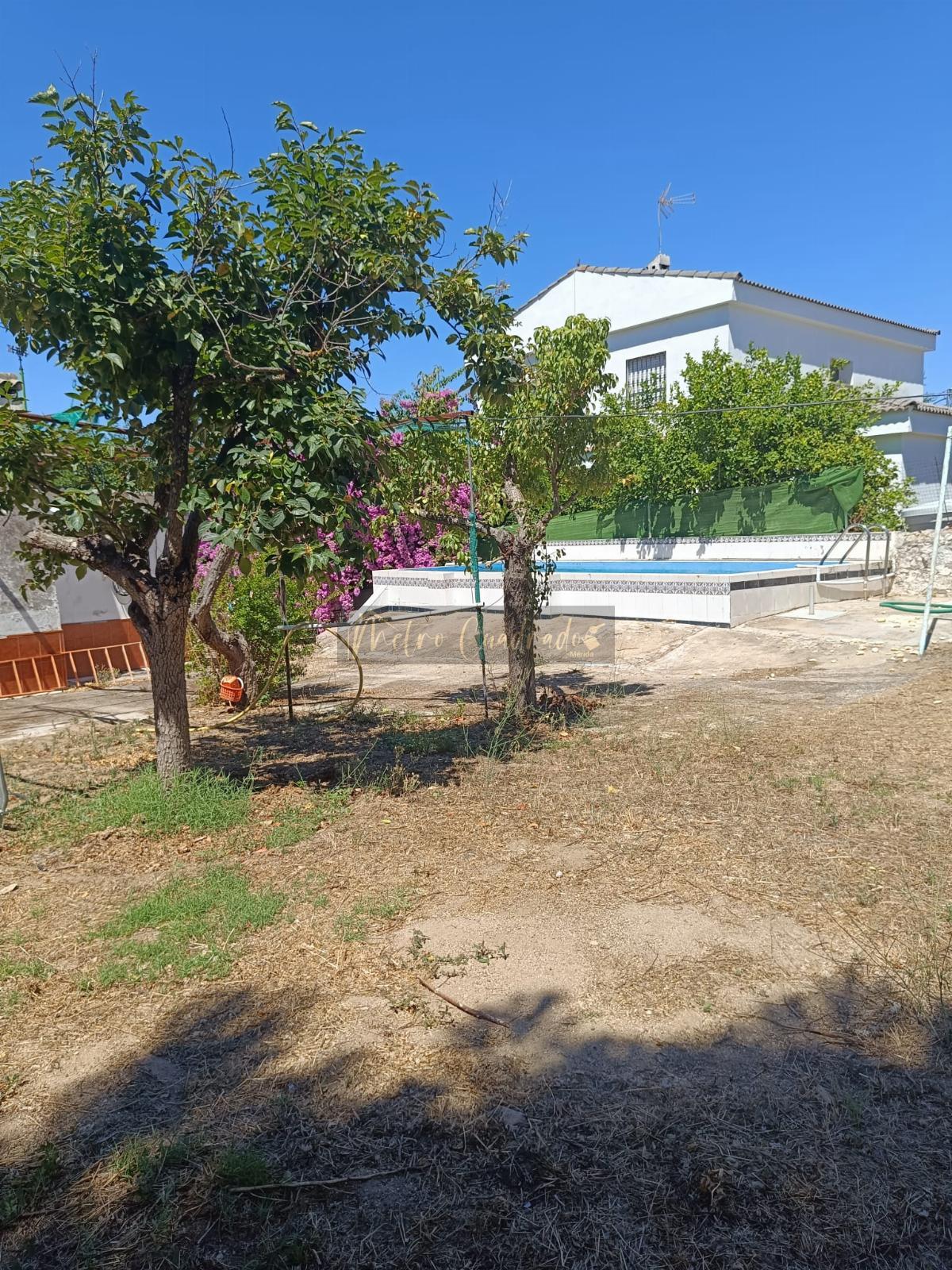 Surroundings