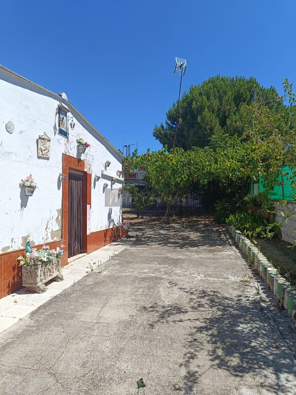 Surroundings