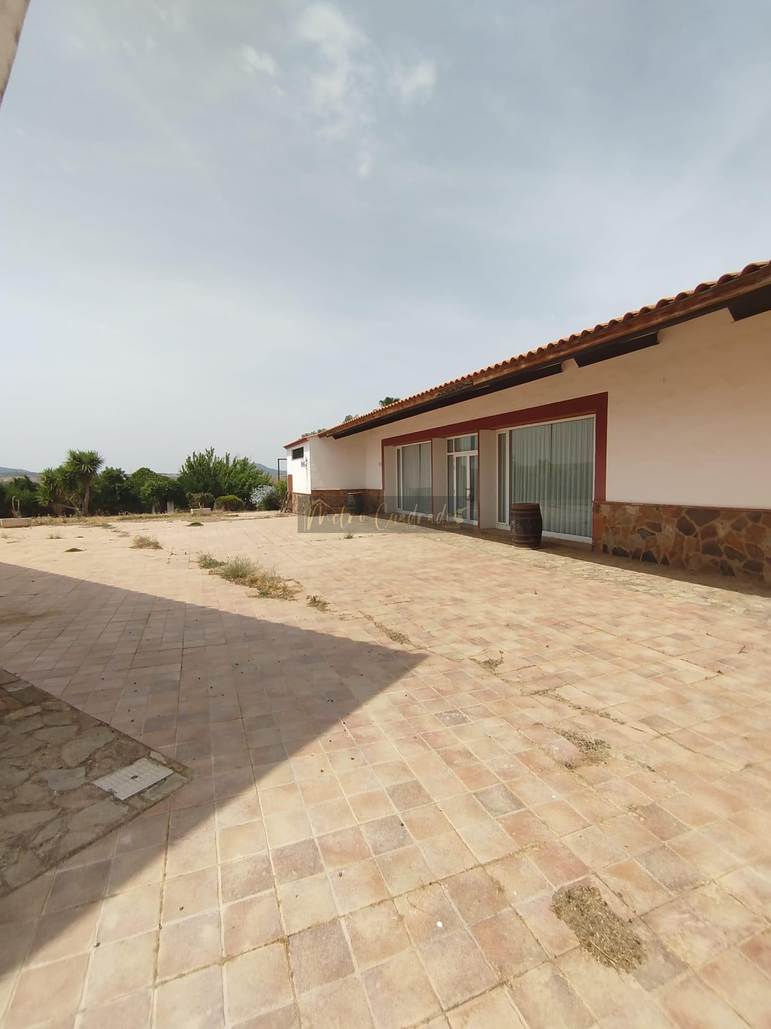 Terraza