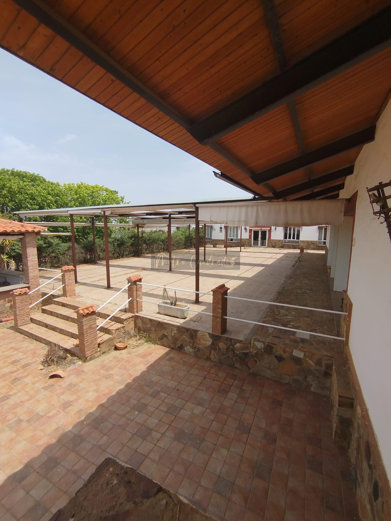 Terraza