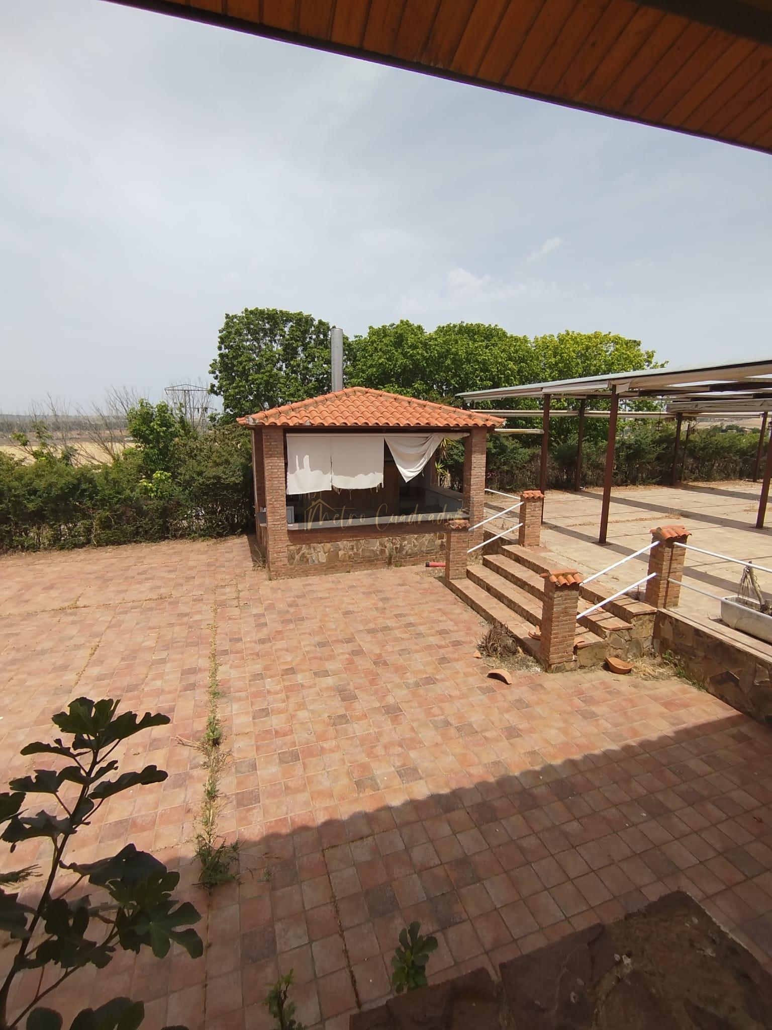 Terraza