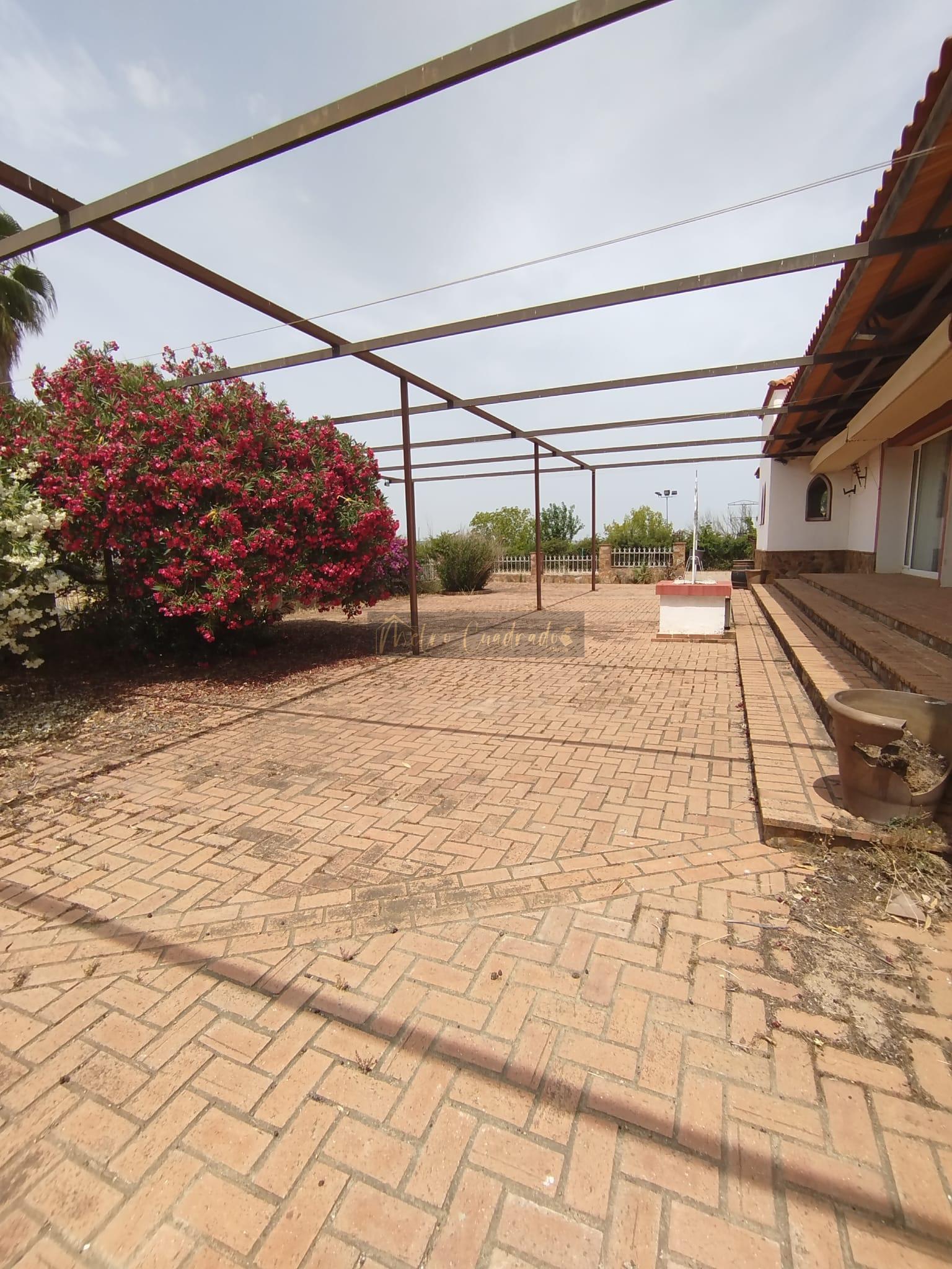 Terraza