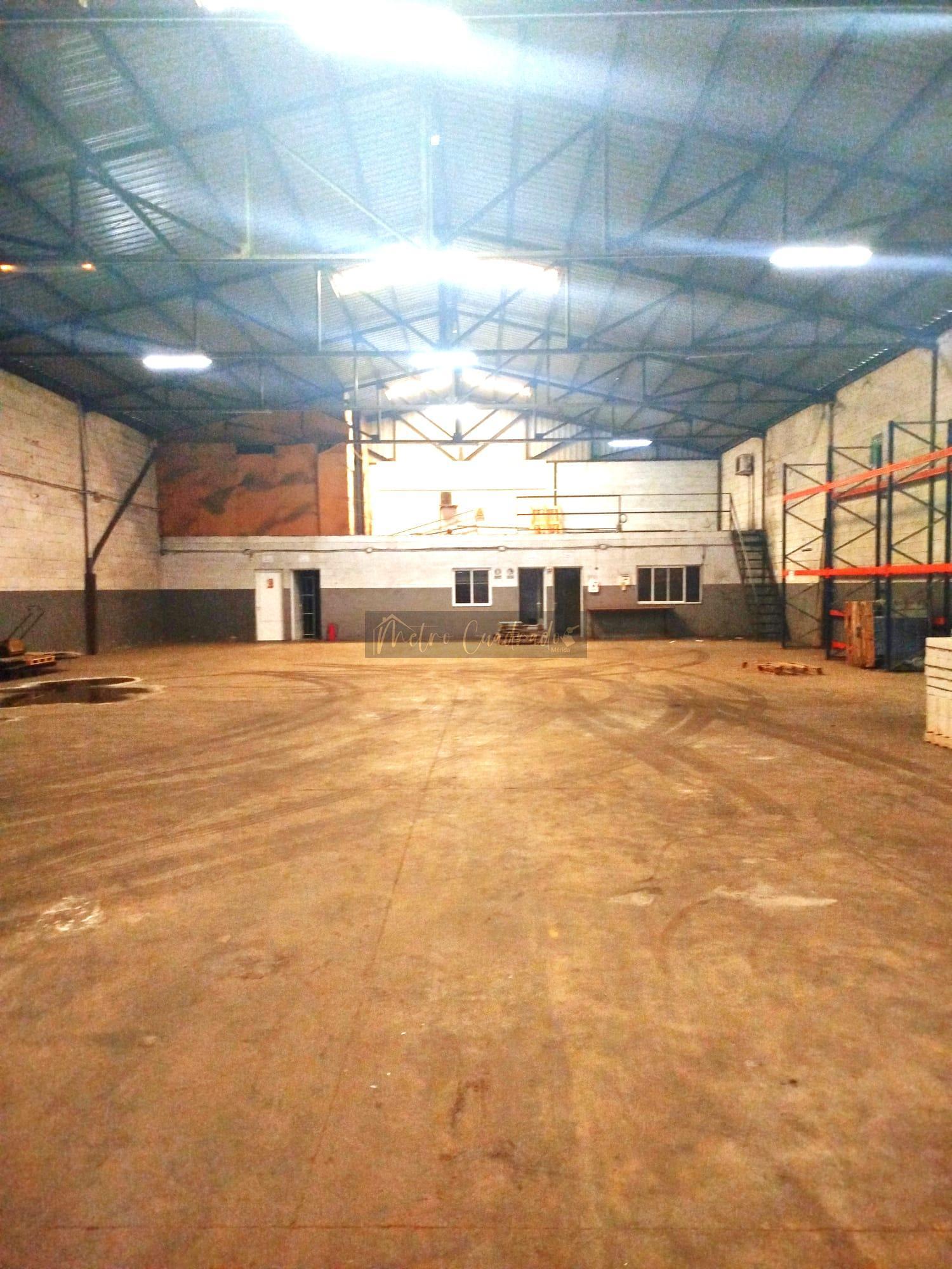 Nave