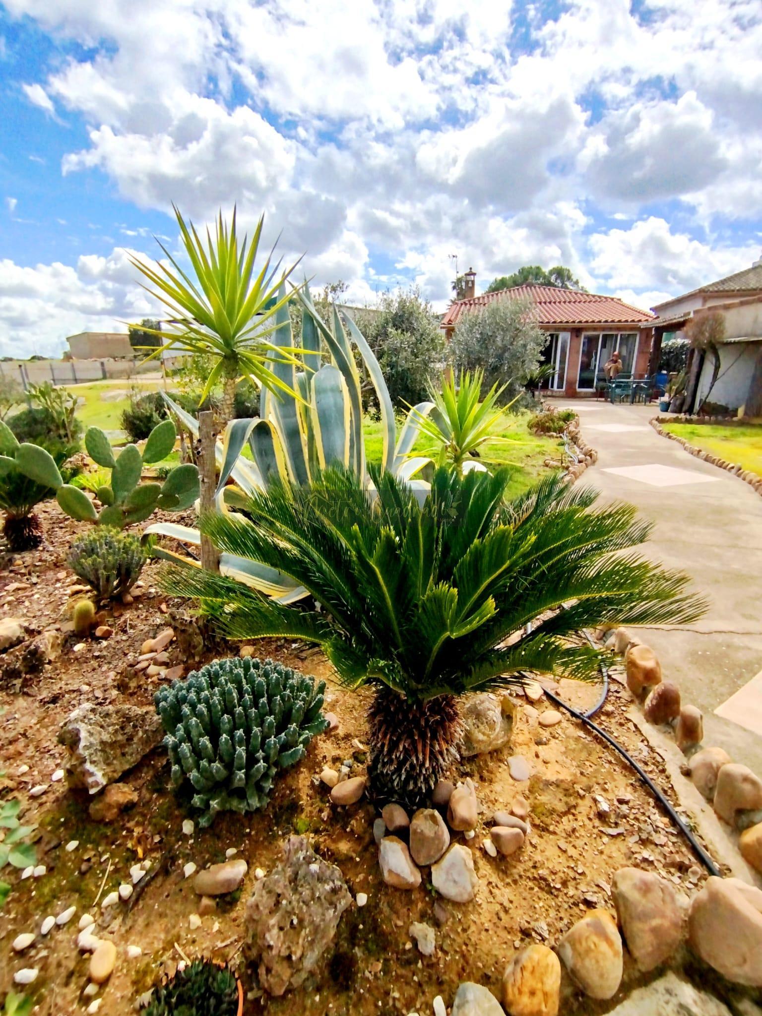 Jardín