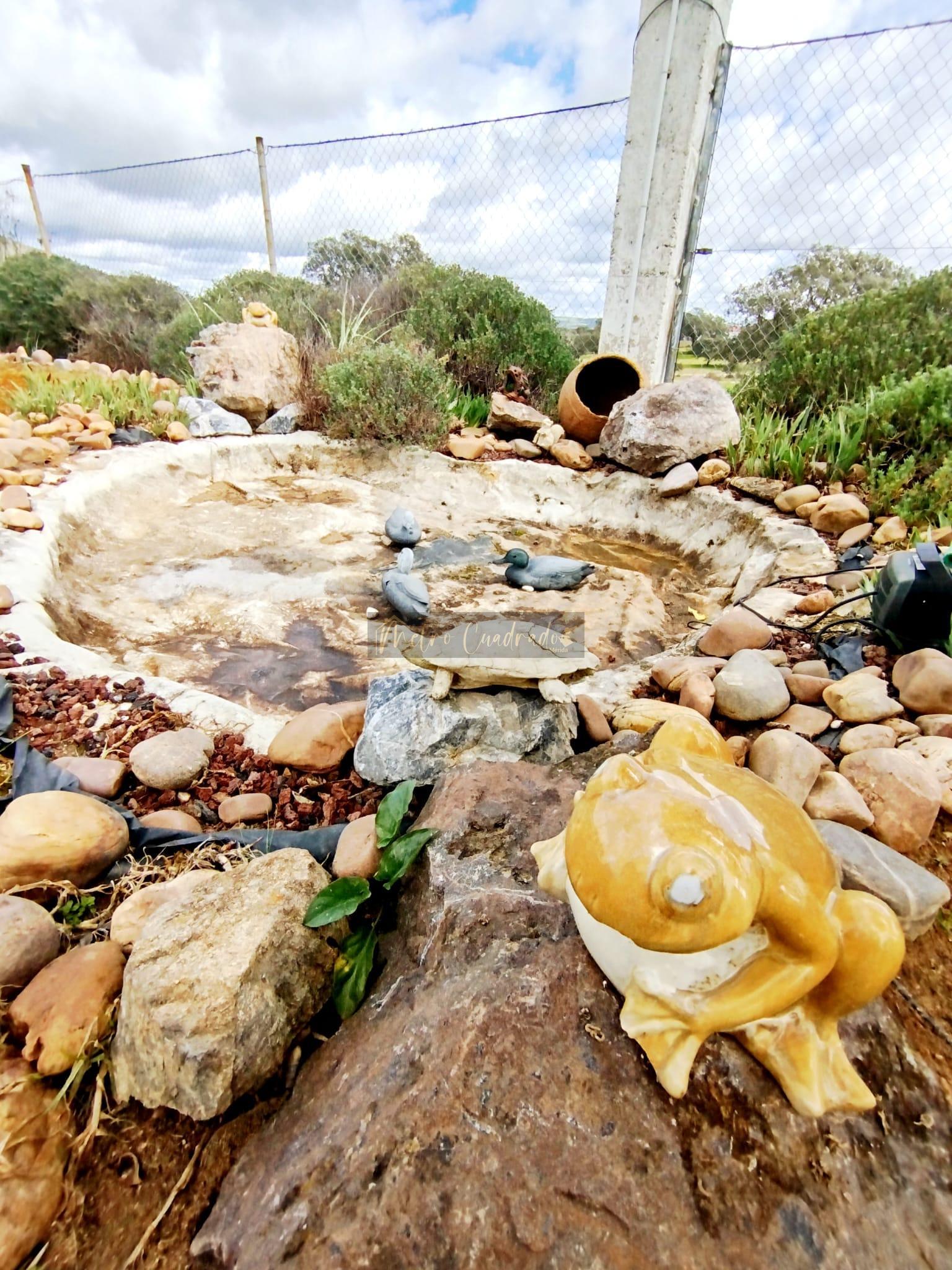Jardín