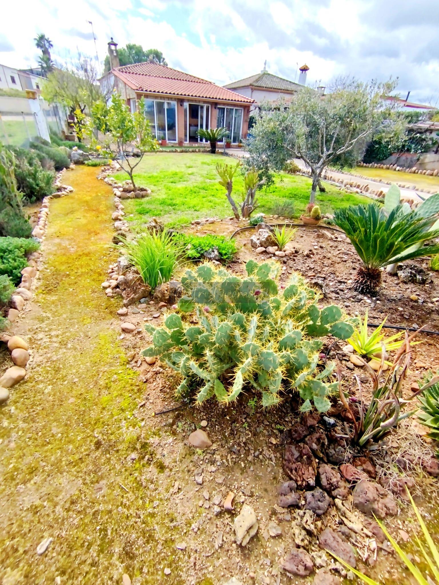 Jardín