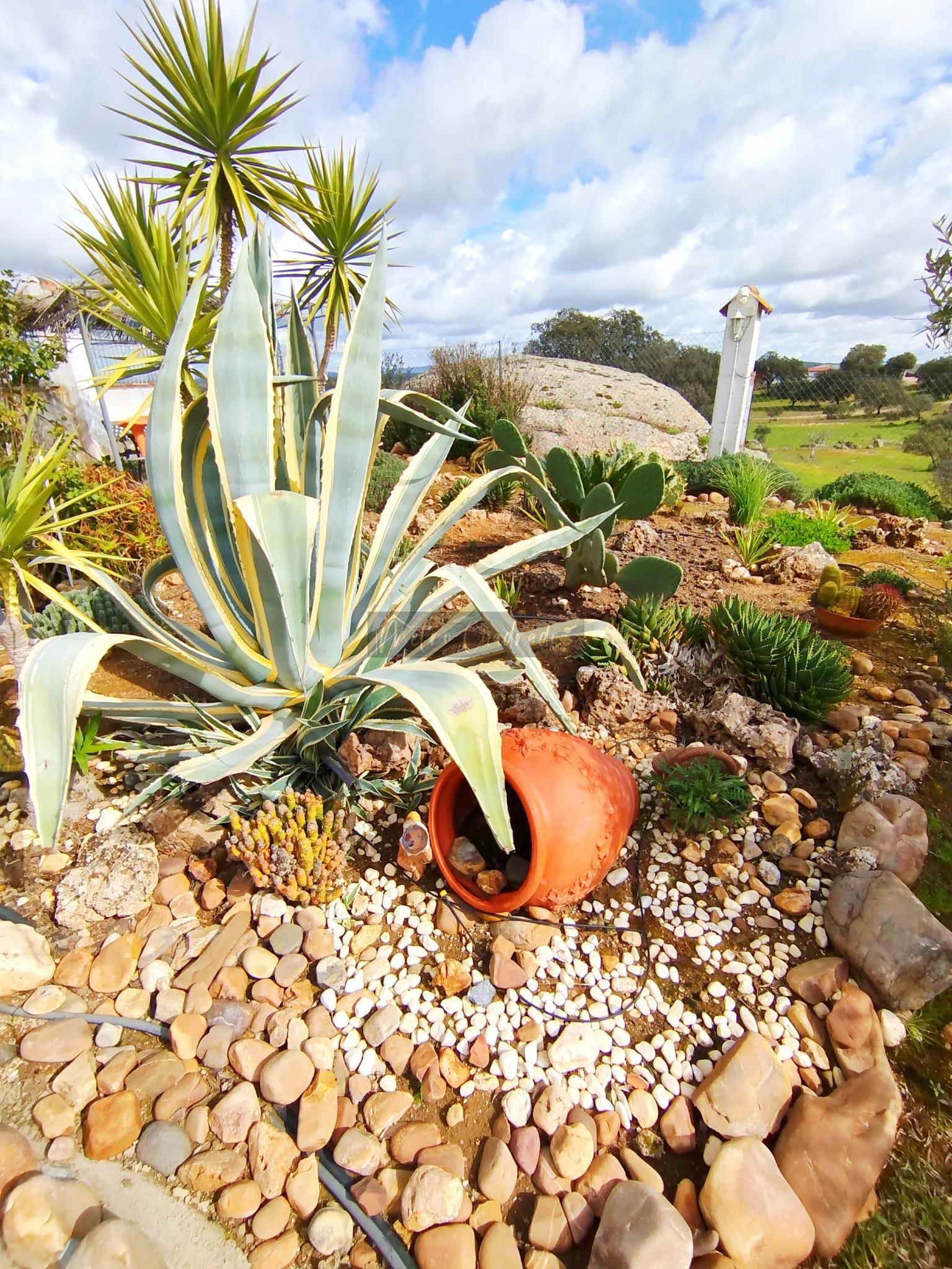 Jardín