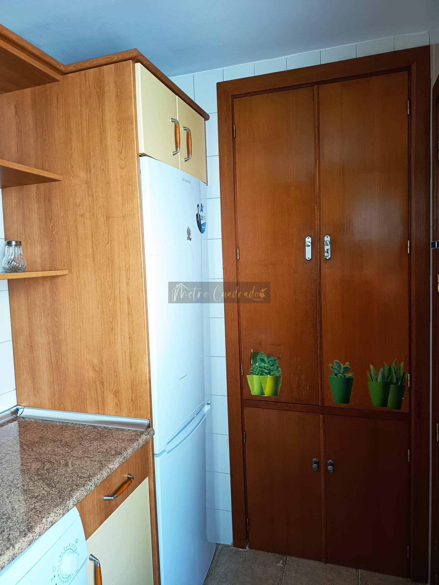 For rent of flat in Mérida