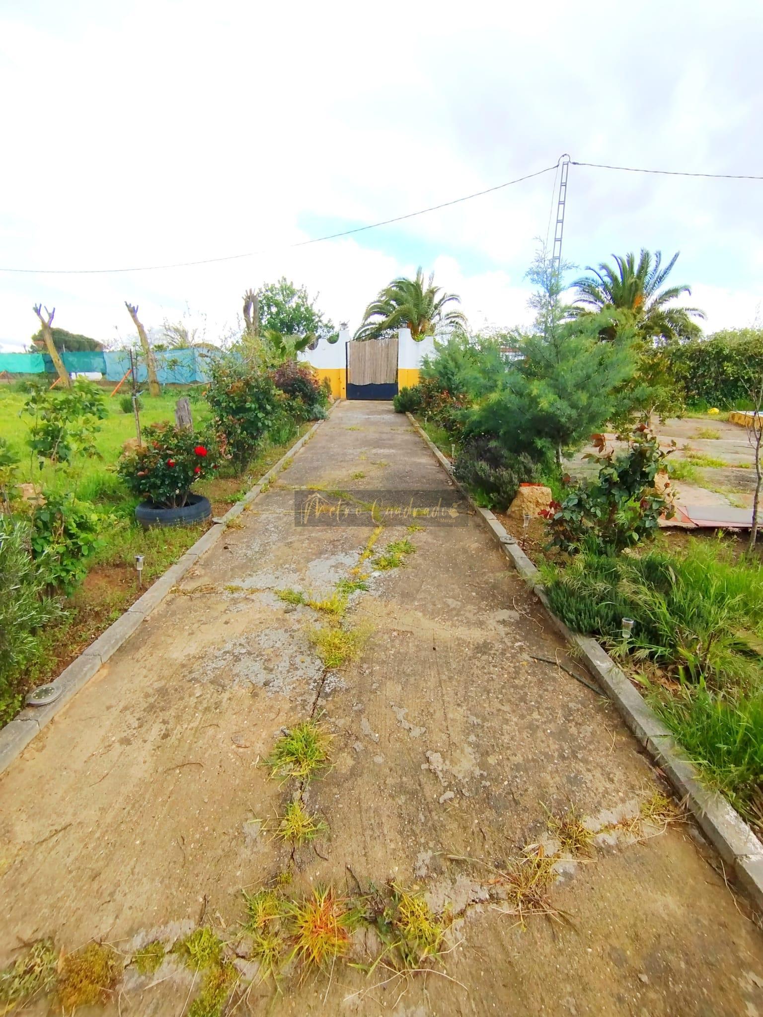 Entry/Exit