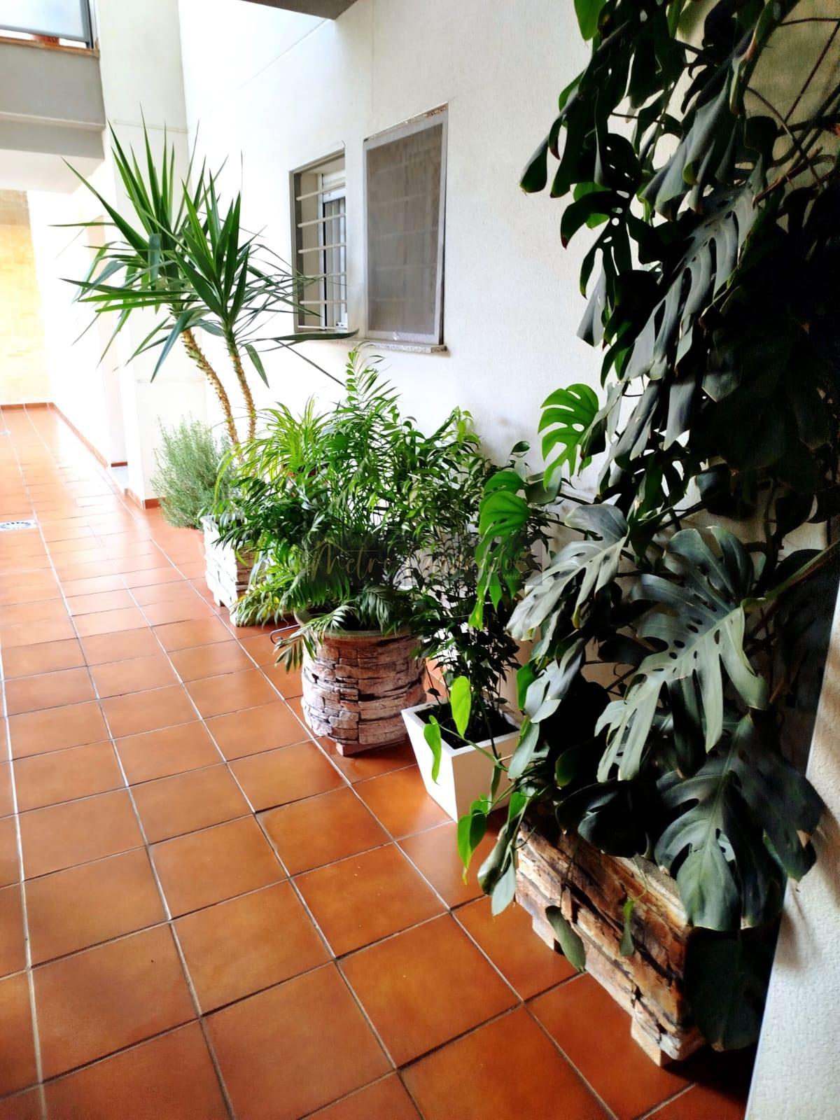 Alquiler de piso en Mérida