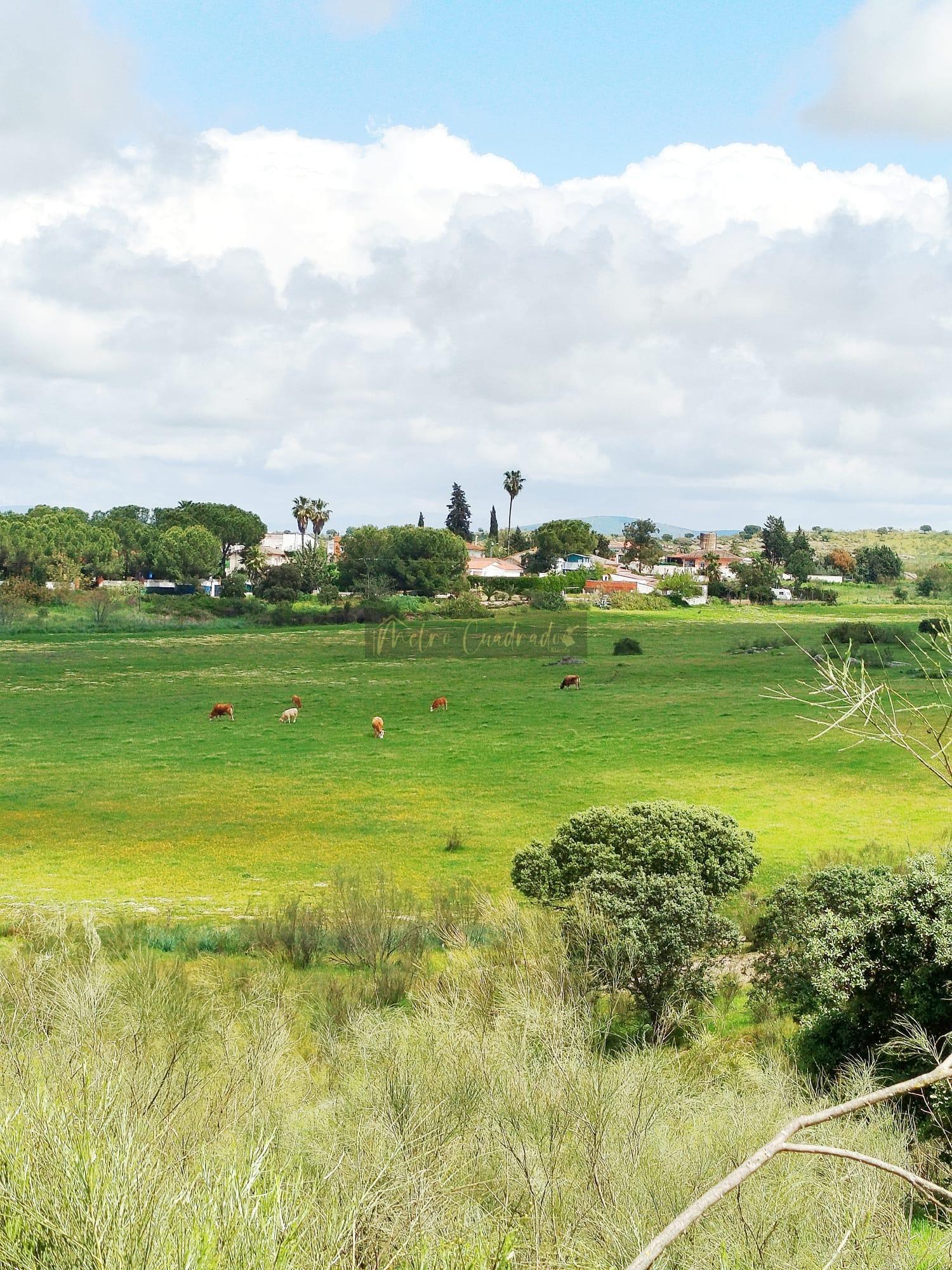 For sale of land in Mérida