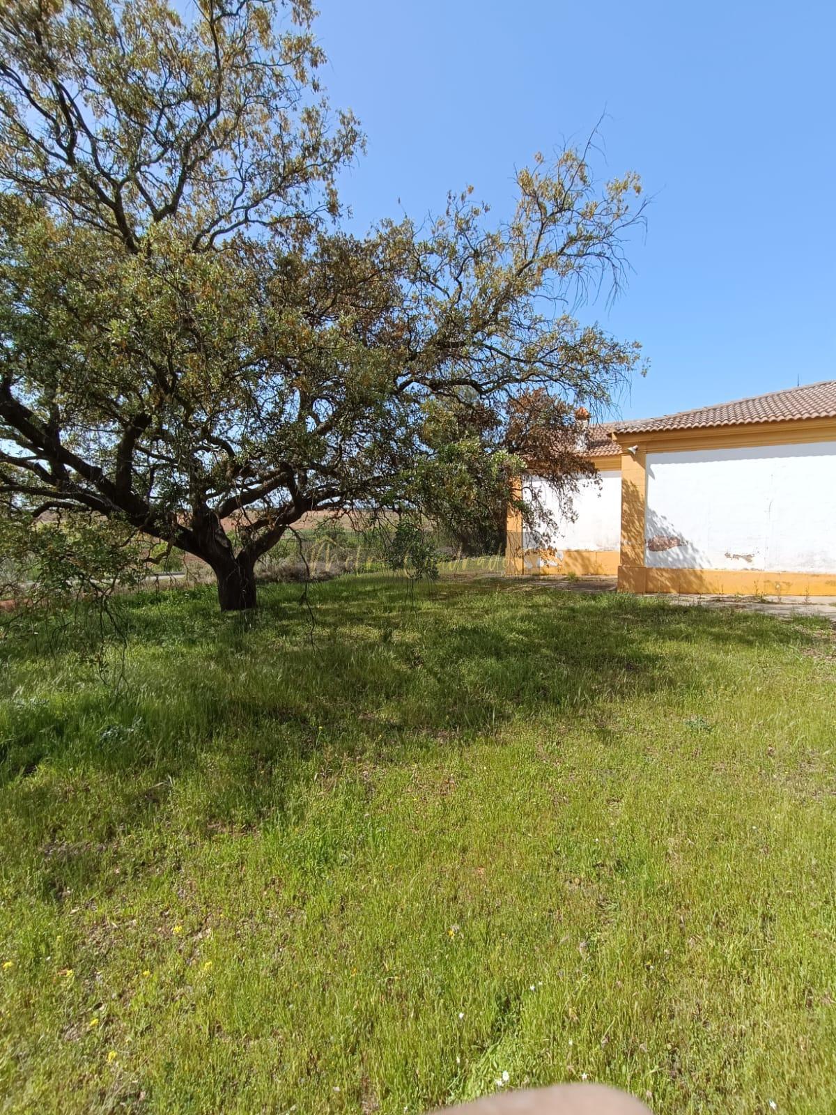 Surroundings
