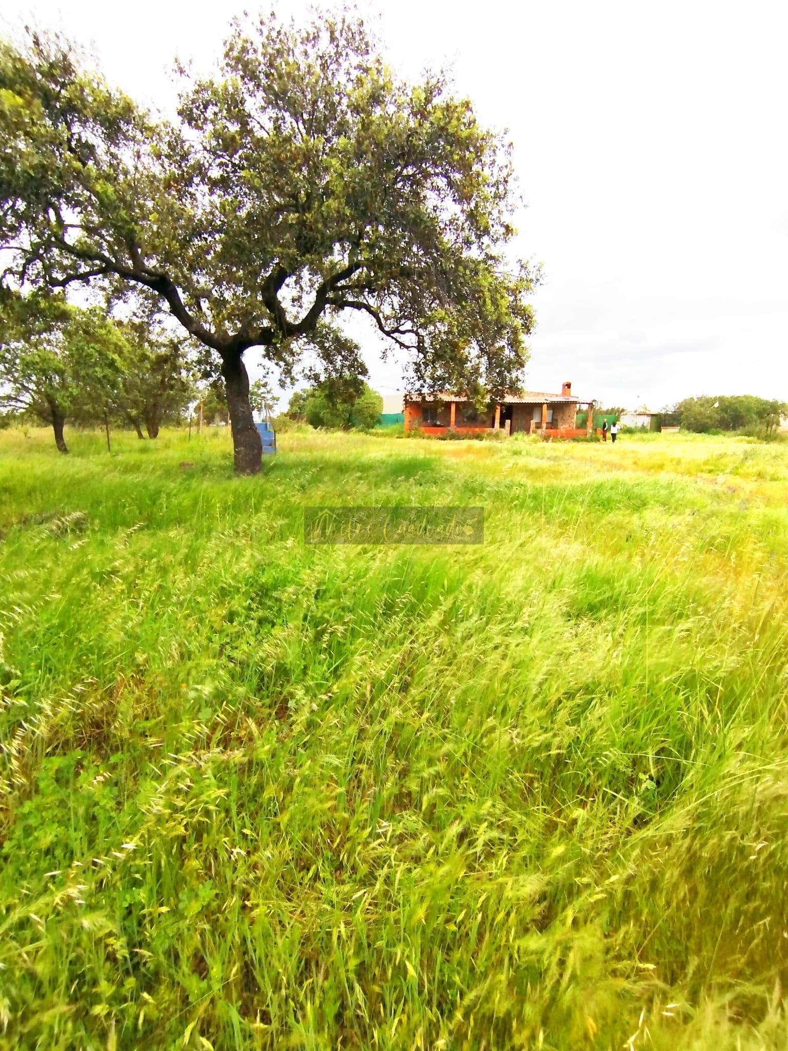 For sale of rural property in Valverde de Mérida