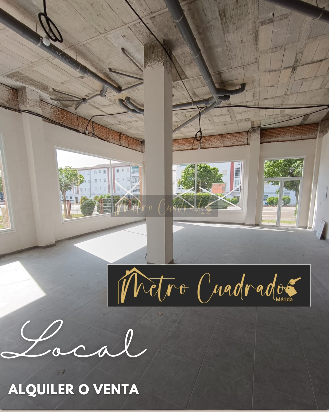 For rent of commercial in Mérida