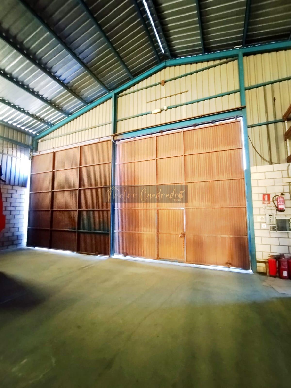 Entrada/Salida Entrada/Salida