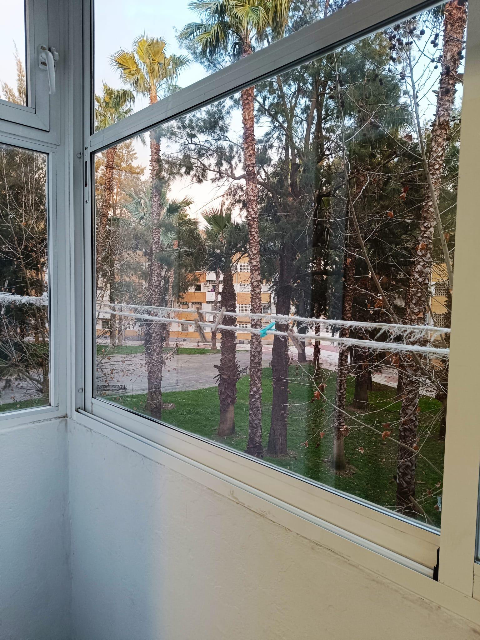 For rent of flat in Mérida