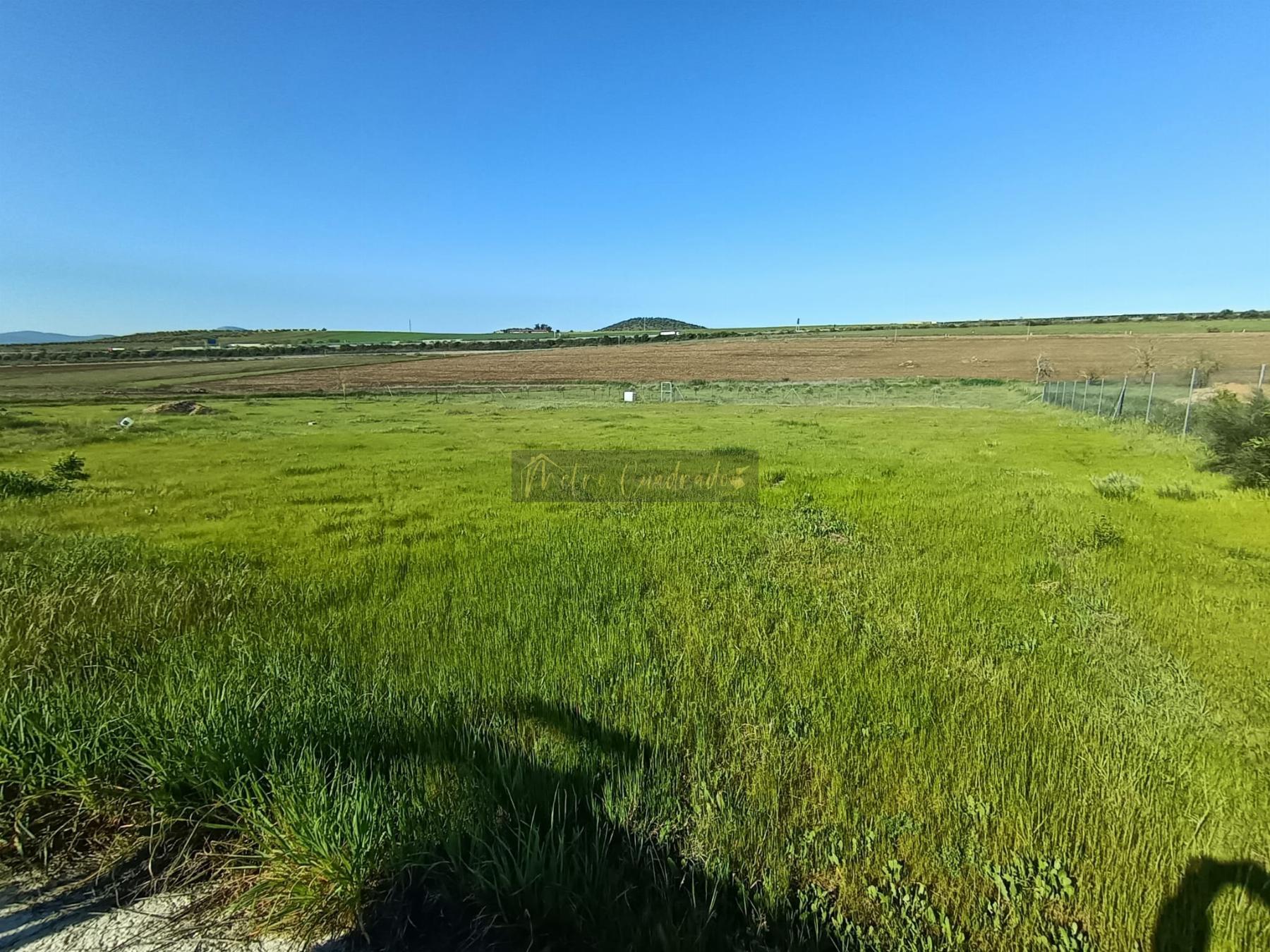 Venta de terreno en Mérida