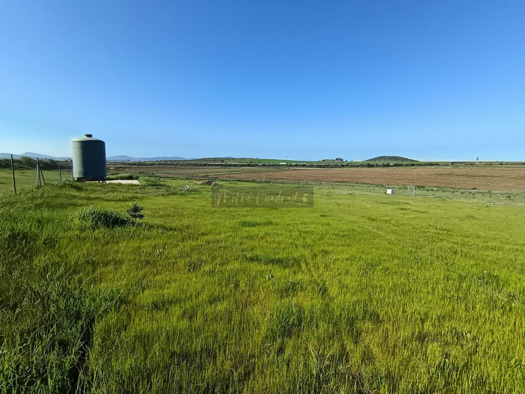 Venta de terreno en Mérida