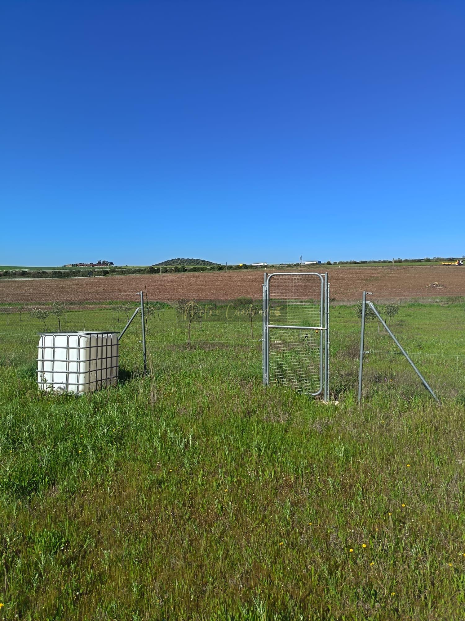 Venta de terreno en Mérida