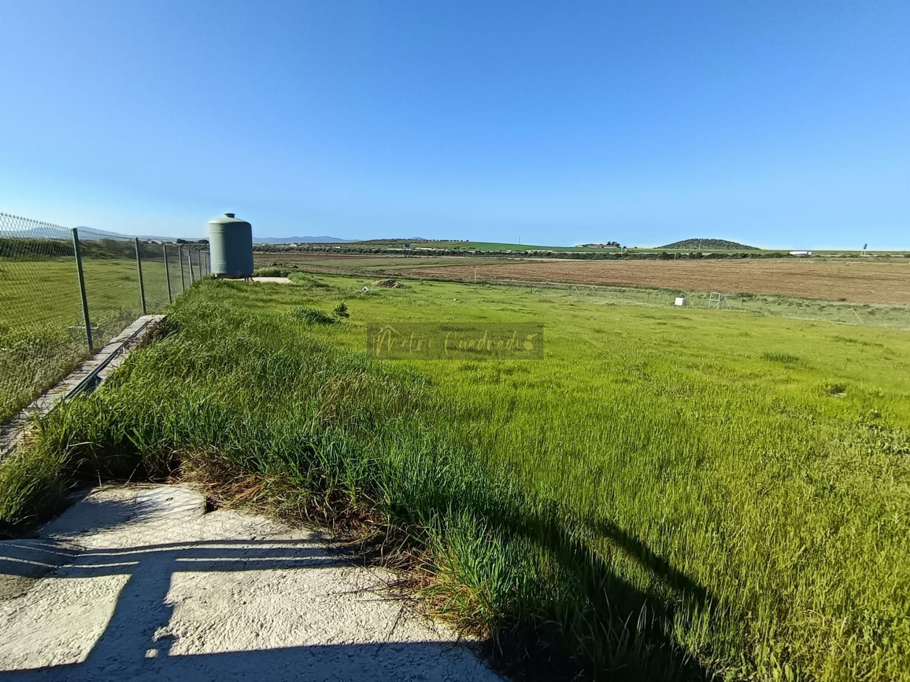 Venta de terreno en Mérida