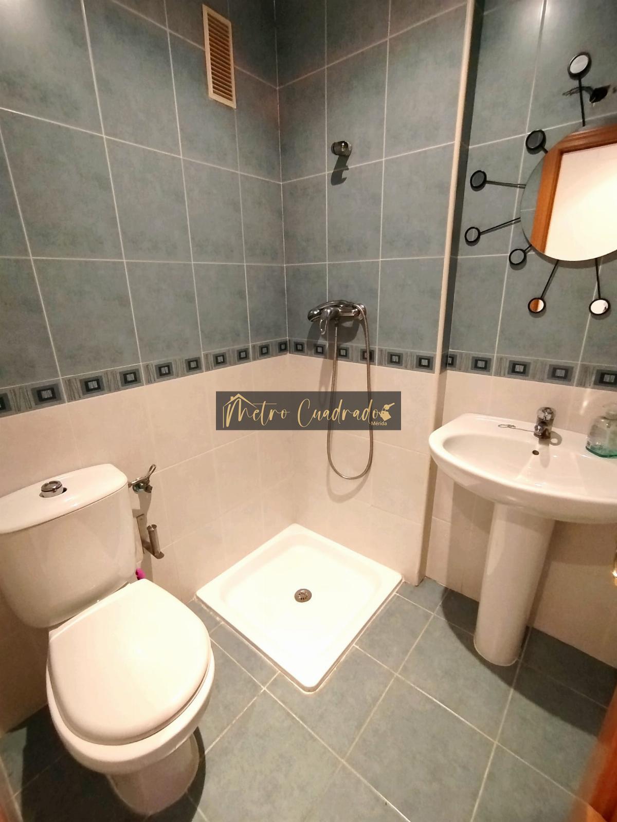 Baño suite