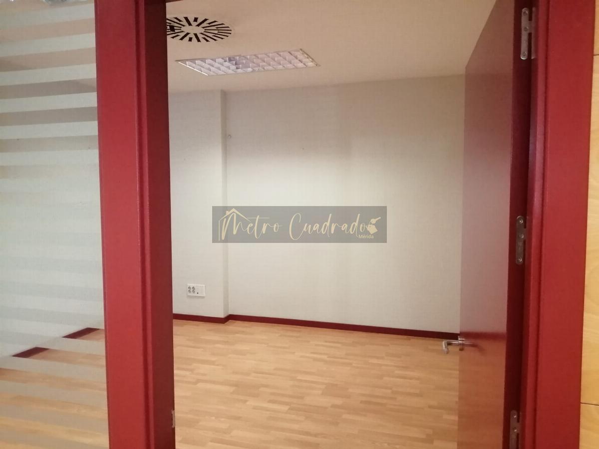 For rent of commercial in Mérida