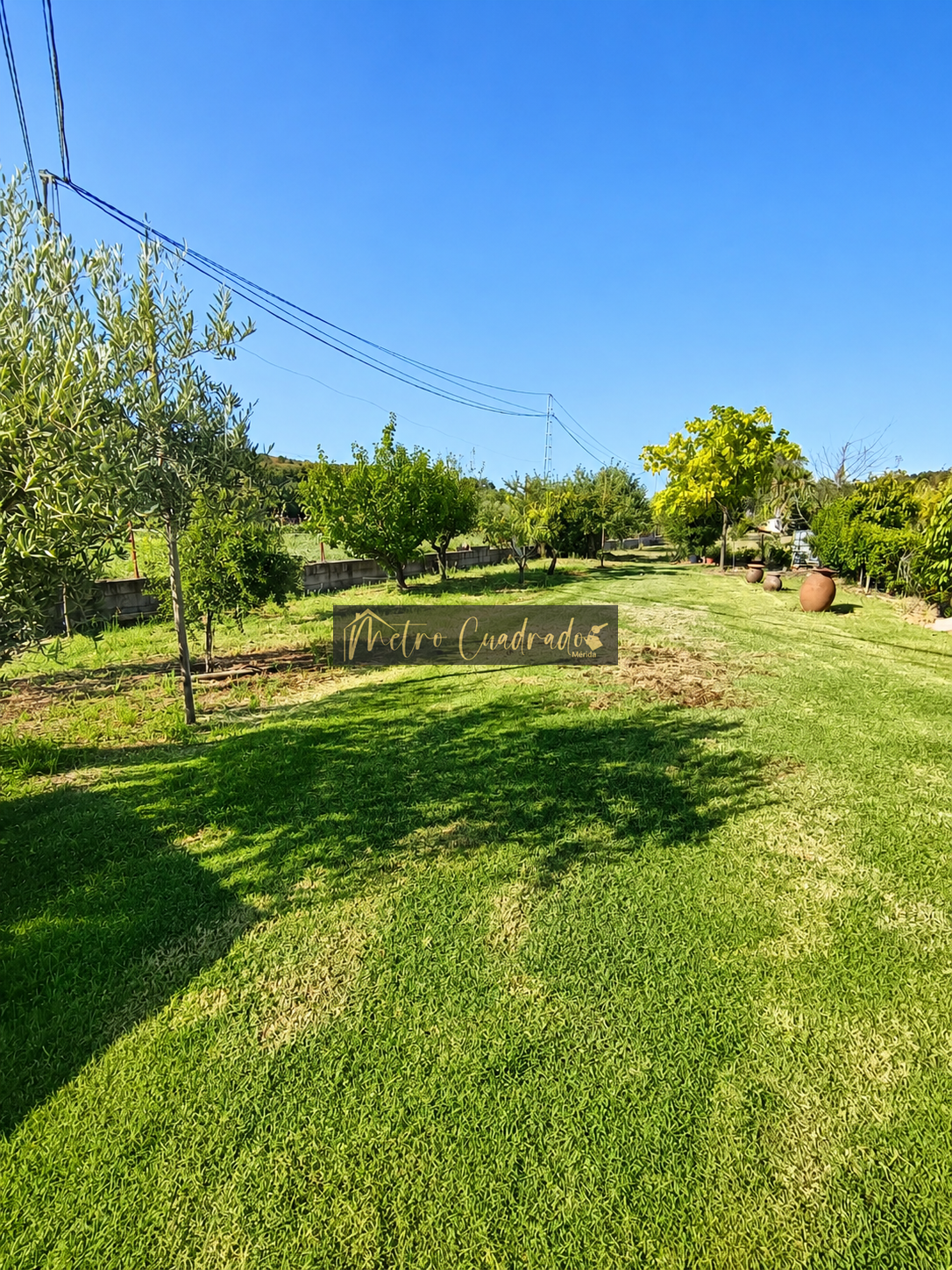 Jardín