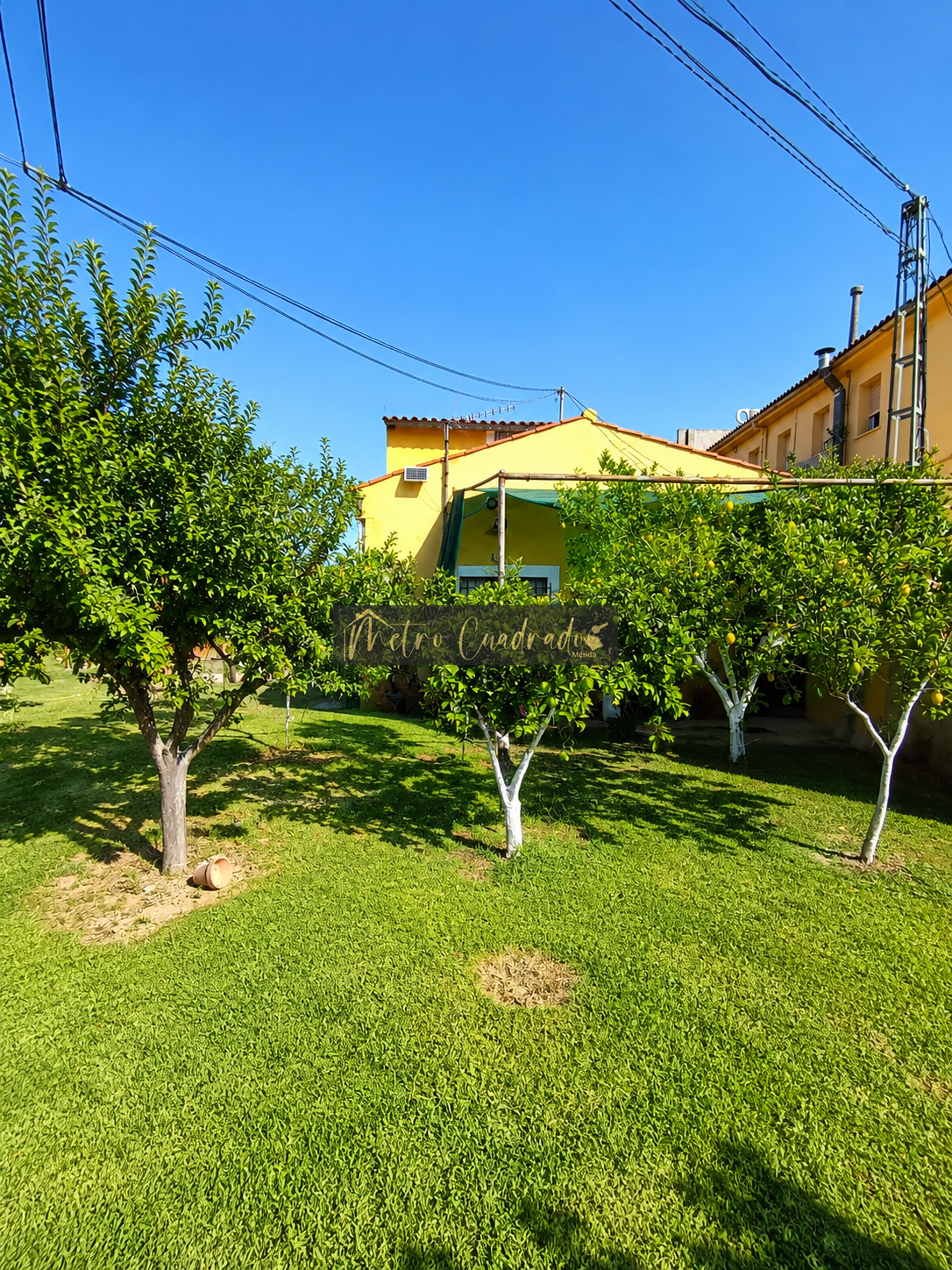 Jardín