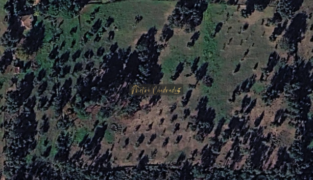 Venta de terreno en Alcuéscar